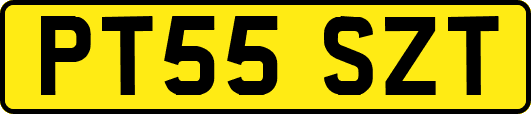 PT55SZT