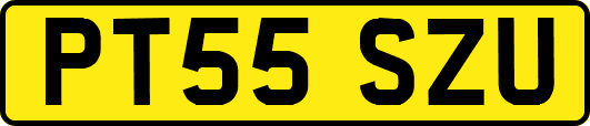PT55SZU