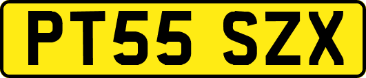 PT55SZX