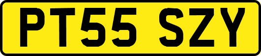 PT55SZY