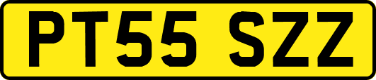 PT55SZZ