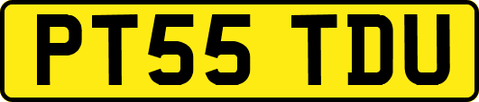 PT55TDU