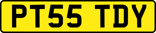 PT55TDY