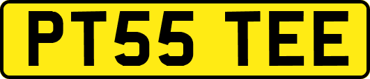 PT55TEE