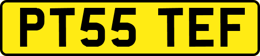 PT55TEF