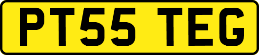 PT55TEG
