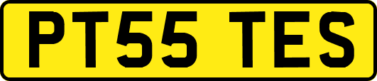 PT55TES