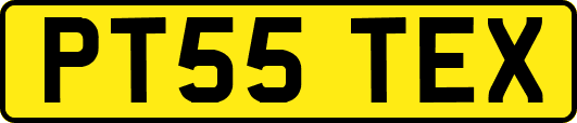 PT55TEX
