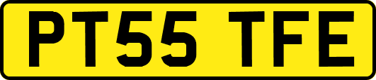 PT55TFE