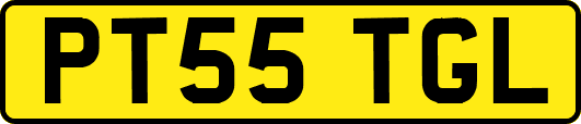 PT55TGL