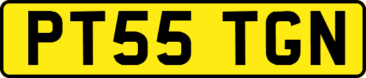 PT55TGN
