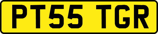 PT55TGR