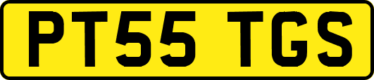 PT55TGS
