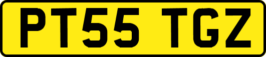 PT55TGZ