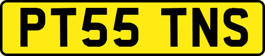 PT55TNS