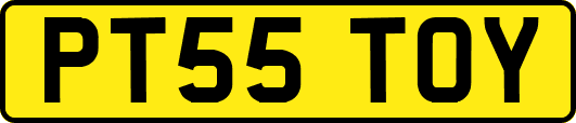 PT55TOY