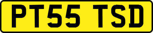 PT55TSD
