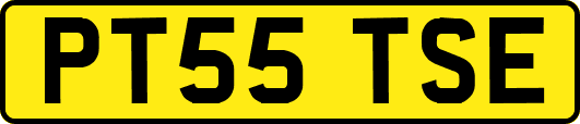 PT55TSE