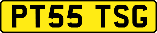 PT55TSG