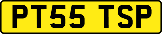 PT55TSP