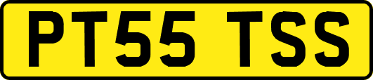 PT55TSS