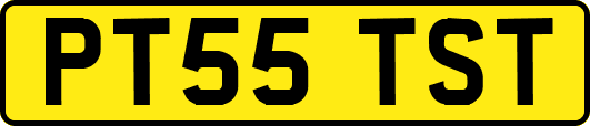 PT55TST