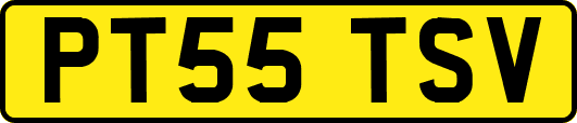 PT55TSV