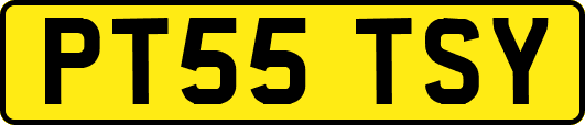 PT55TSY