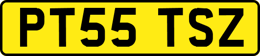 PT55TSZ