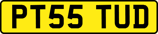 PT55TUD