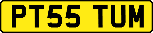 PT55TUM