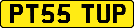 PT55TUP