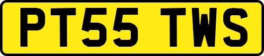 PT55TWS
