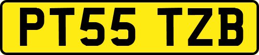 PT55TZB