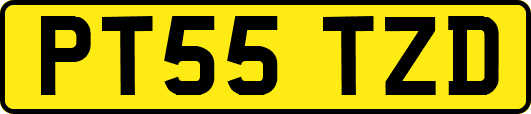 PT55TZD