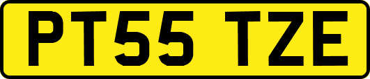 PT55TZE