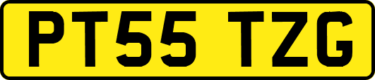 PT55TZG