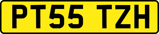 PT55TZH
