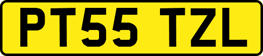 PT55TZL