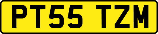 PT55TZM