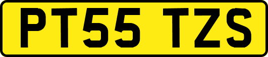 PT55TZS