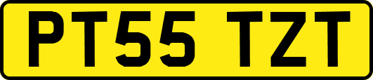 PT55TZT