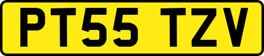 PT55TZV