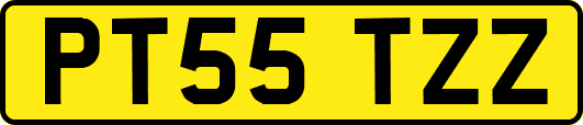 PT55TZZ