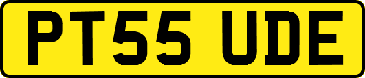 PT55UDE
