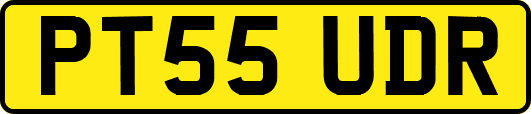 PT55UDR