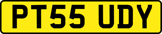 PT55UDY