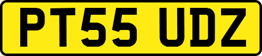 PT55UDZ