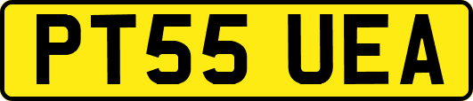 PT55UEA