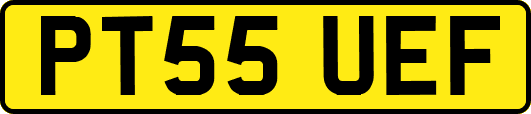 PT55UEF